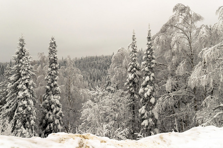 乌拉尔山区的冬天