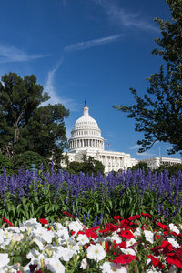 美国国会大厦，华盛顿 dc