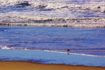 海滩沙丘波浪