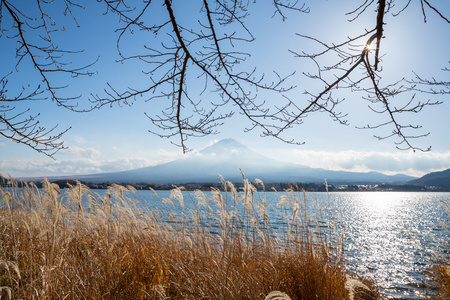 kawaguchigo 湖的富士山