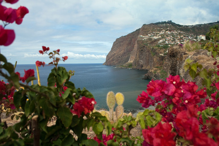 马德拉岛，在 cabo girao 视图