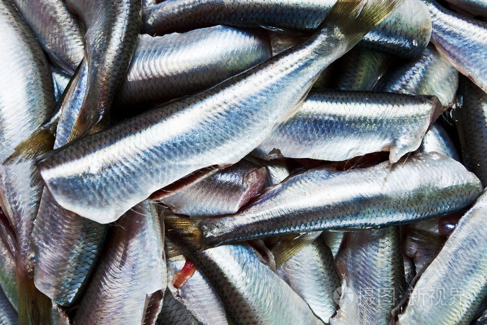 新鲜粗凤尾鱼