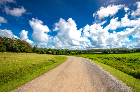 沥青混凝土路面通过绿色领域和云对蓝色的天空在夏季的一天