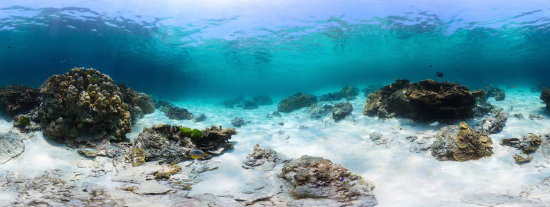 用岩石的热带珊瑚礁的全景