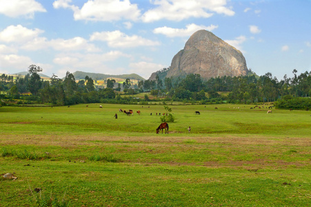 非洲，埃塞俄比亚。山惊人的形状。牧场。马正在吃草