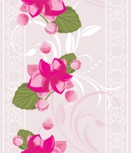 与白色花边和粉红色的花朵装饰背景