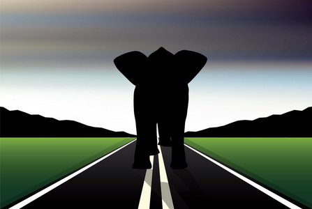 非洲大象在走路姿势在道路上的可编辑矢量轮廓