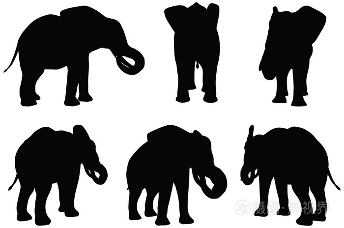 集的可编辑矢量轮廓的非洲的大象吃的姿势