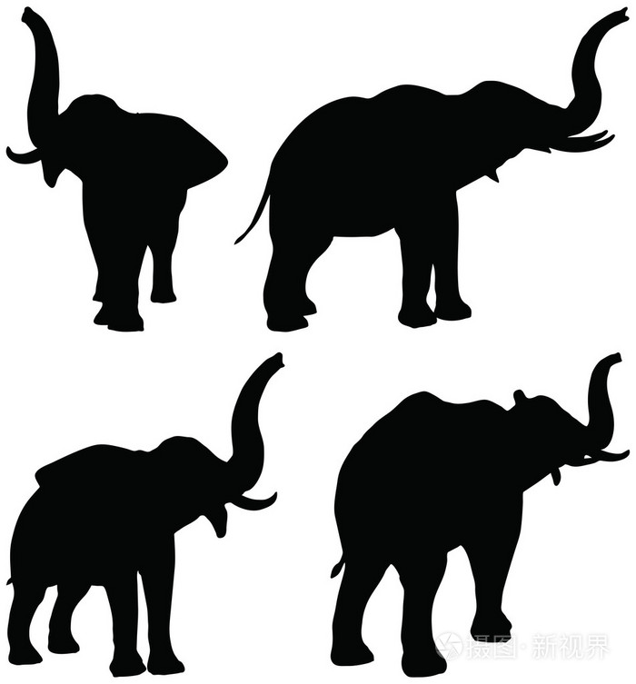 集的可编辑矢量轮廓的非洲大象的气味的姿势