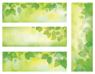 关于矢量性质横幅，绿色的叶子的白桦树的分支