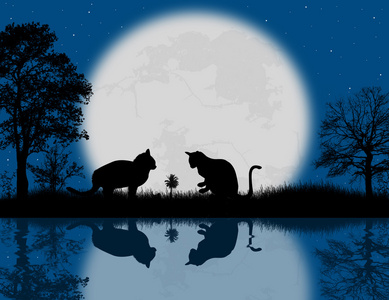 喝咖啡的杯子, 而坐在一个星光灿烂的夜空下满月与黑猫的万圣节夜晚