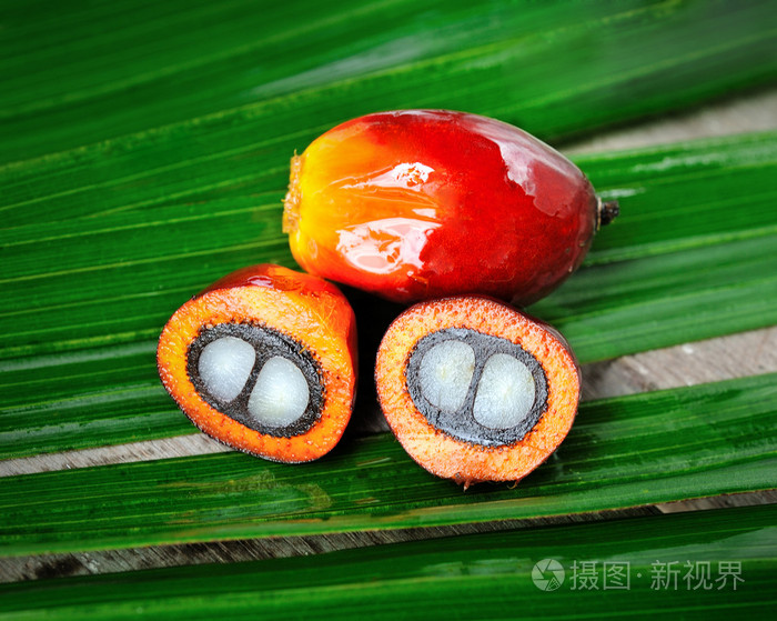 新鲜的油棕榈果照片 正版商用图片1epgw2 摄图新视界 新鲜的油棕榈果照片 正版商用图片1epgw2 摄图新视界