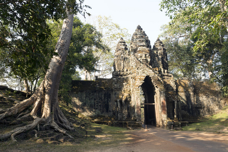 附近暹粒吴哥柏汗座庙收获柬埔寨