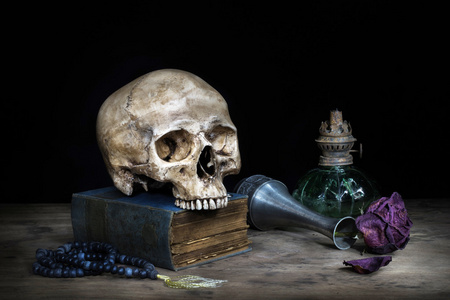骨单位静物头骨照片