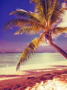 在多米尼加共和国的热带海滩。加勒比海