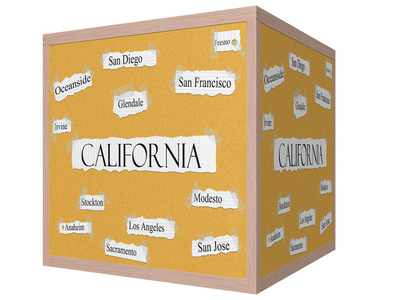 加利福尼亚州 3d 多维数据集软木砖词概念