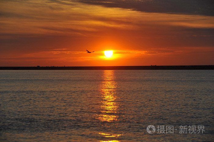 景观果阿