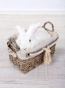 白色可爱的兔子在篮子里，关闭了