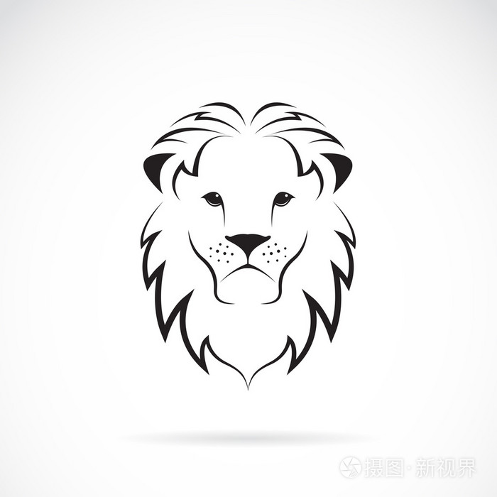 狮头画法图片