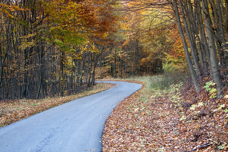 vrida hsten road