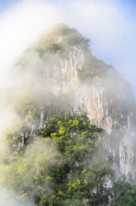 郁郁葱葱的高山雾覆盖