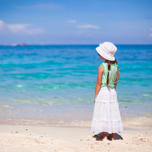 在地处热带的海滩上后视图的可爱的小女孩