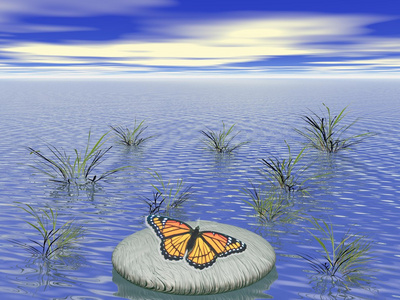 恩施蝴蝶岩图片