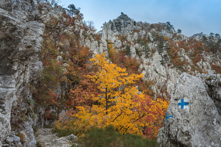 tasnei 峡谷