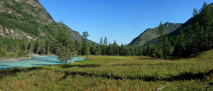 阿尔泰山。湖 kucherlinskoe