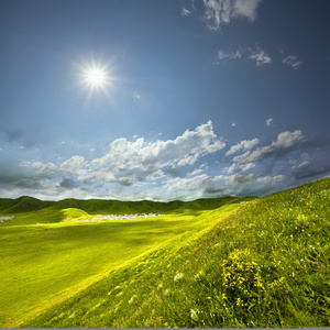 美丽的夏天风景