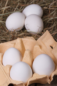 白羽鸡鸡蛋在一个托盘和干草特写