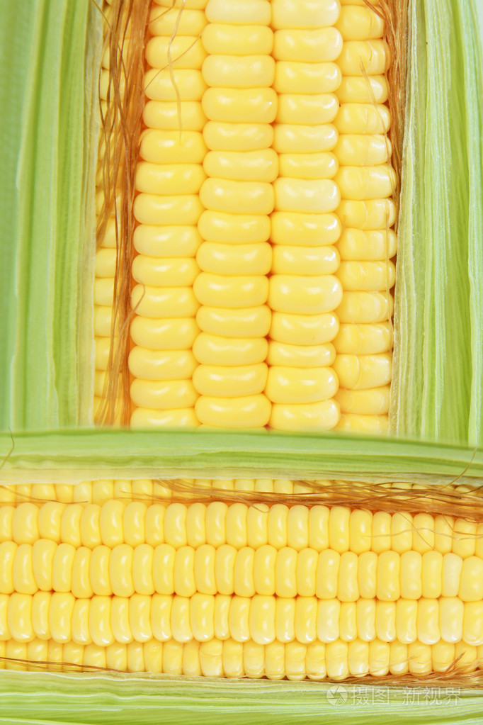 在白色背景上孤立的玉米穗