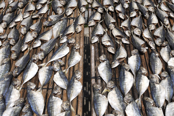 行的咸鱼干在阳光下