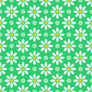 对无缝花 pattern.floral background.white 