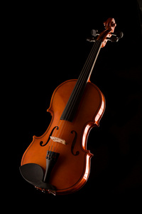一把小提琴的剪影