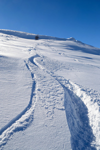 享受粉雪