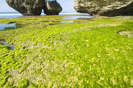 热带海滨