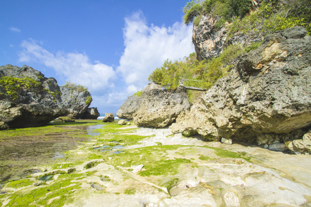 海滨风景