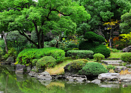 在日本美丽的花园