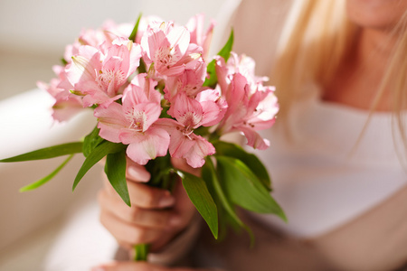 美丽的百合花