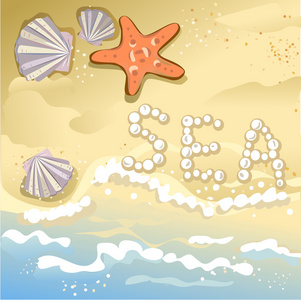 大海和沙滩 海星和贝壳的背景