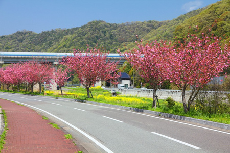 日本