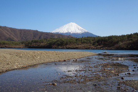 春天，樱花盛开樱花富士山