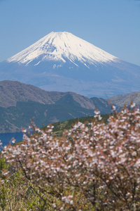 在冬季的富士山和阿希湖