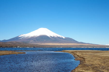 春天，樱花盛开樱花富士山