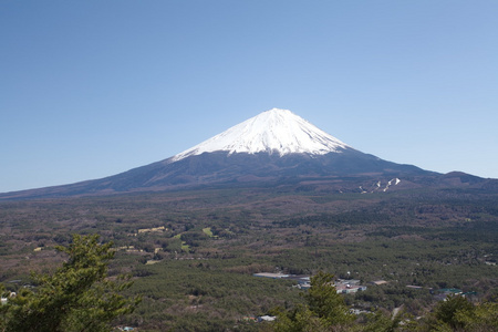 春天，樱花盛开樱花富士山