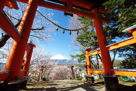 春天，樱花盛开樱花富士山