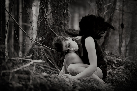 堕落的天使照片