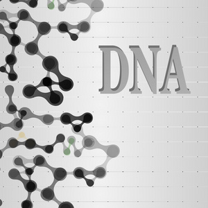 卡与 dna