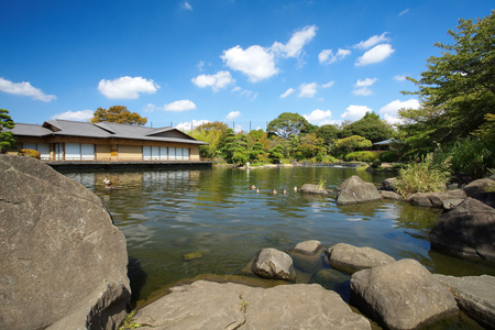 夏日风景与湖和